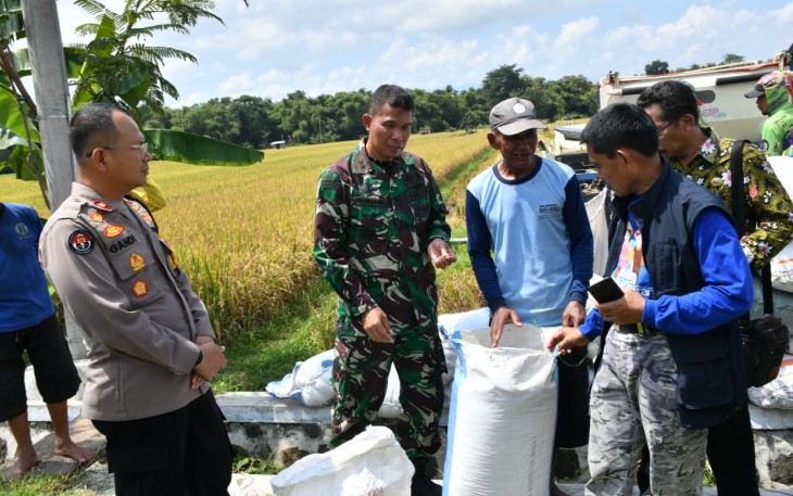Dandim Ponorogo Turun Tinjau Panen Padi