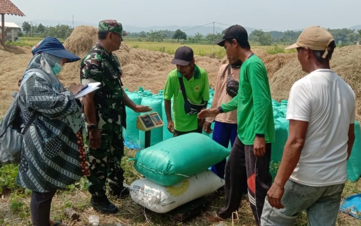 Serapan Gabah di Nganjuk Optimis Lampaui Target