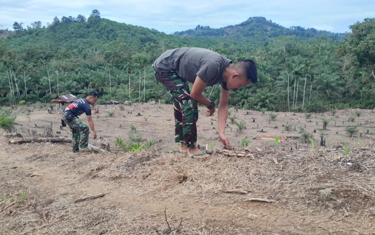 Satgas TMMD Ke-124 Kodim 0408/BS Bantu Warga Bersihkan Kebun Jagung