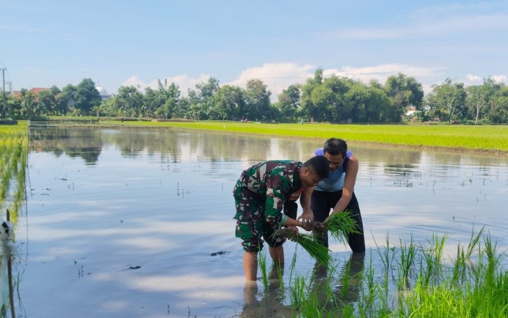 Serda Sony Dampingi Petani Tanam Padi