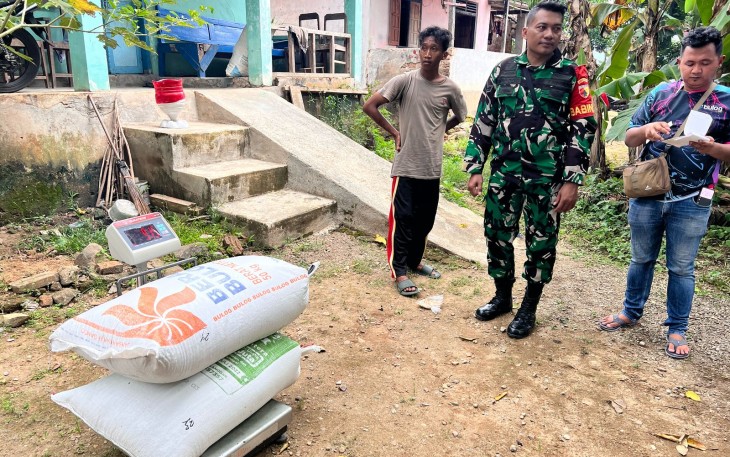 Babinsa Koramil 0801/01 Pacitan Dampingi Serapan Gabah Di Wilayah Binaan