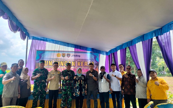 Panen Bersama di Kecamatan Belitang Mulya