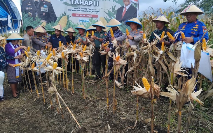 Kapolres Bitung AKBP Albert Zai bersama unsur Forkompinda, pemerintah daerah dan kelompok tani saat menggelar panen jagung tahap dua di kelurahan Kakenturan Dua, Kecamatan Maesa Kota Bitung