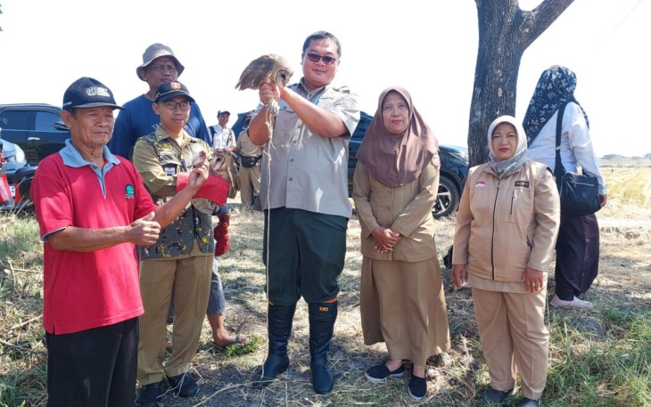  Direktur Perlindungan Tanaman Pangan Kementerian Pertanian (Kementan) Rachmat