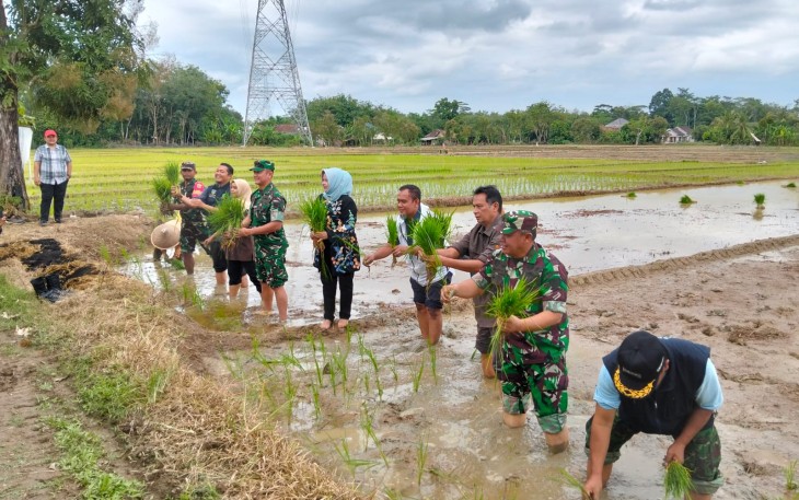Pengecekan Lokasi Cetak Sawah dan Tanam Padi Bersama