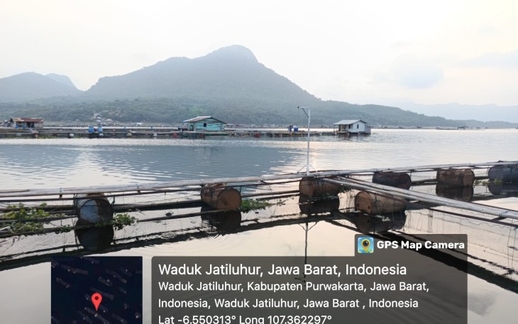 Kementerian Kelautan dan Perikanan (KKP) bergerak cepat terjun langsung ke lapangan mengecek penyebab kematian ikan massal di Waduk Jatiluhur