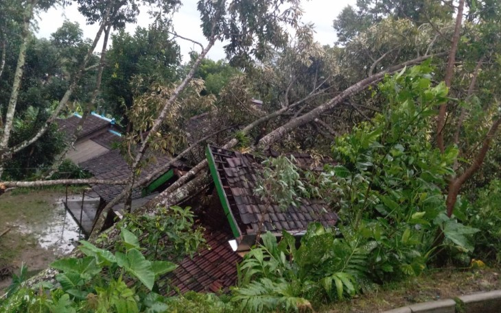 Kondisi rumah warga di wilayah Karangpandan rusak tertimpa pohon tumbang setelah diterjang badai dan hujan deras, Rabu (4/2/2026).