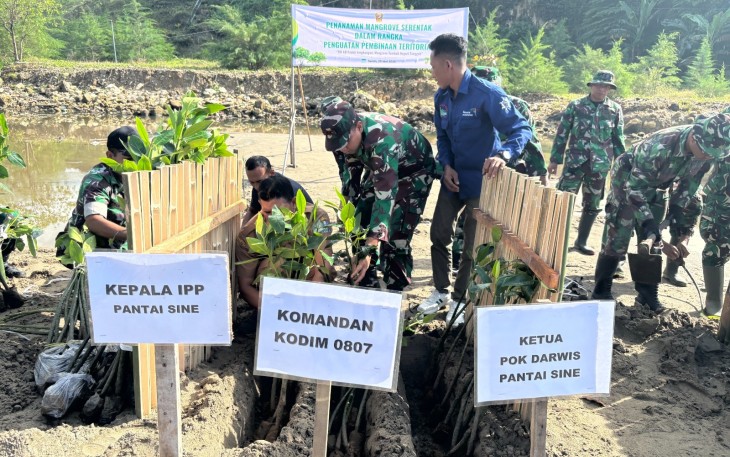 Komandan Kodim 0807/Tulungagung Letnan Kolonel Arh Hanny Galih Satrio, S.I.P., M.Han. bersama puluhan anggota Kodim 0807/Tulungagung, anggota Polri, Perhutani, kelompok Darwis, dan warga masyarakat melaksanakan kegiatan penanaman pohon mangrove di pesisir Pantai Cemoro Sewu, Dusun Sine, Desa Kalibatur, Kecamatan Kalidawir, Kabupaten Tulungagung, Jawa Timur, Senin (25/5/2026)