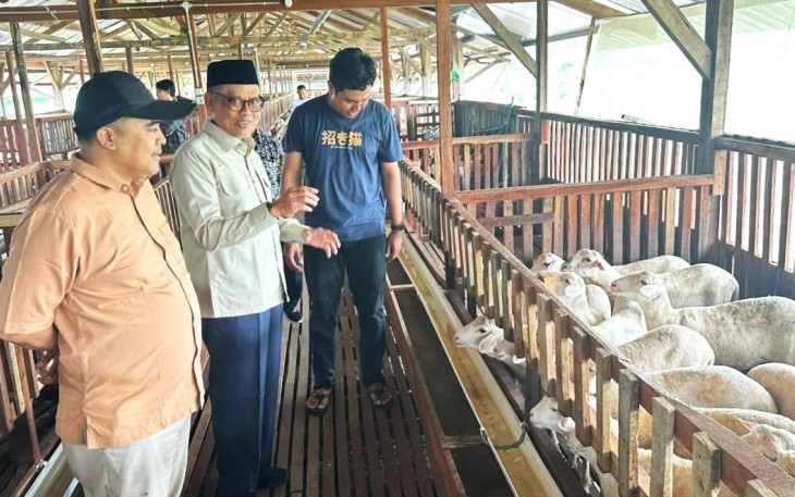 Anggota Komisi X DPR RI Abdul Fikri Faqih (kemeja putih) saat meninjau peternakan domba di Kabupaten Tegal 