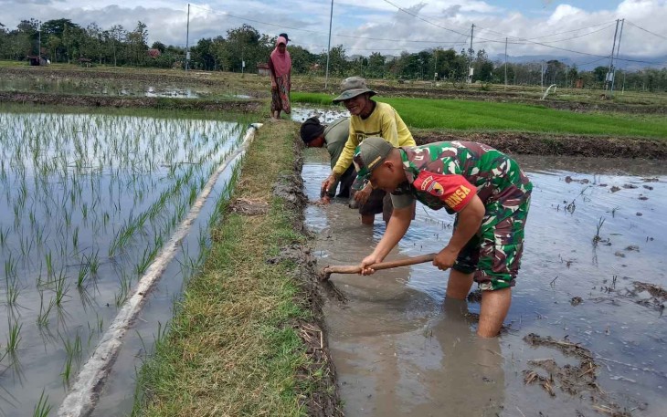 Olah lahan petani desa binaan