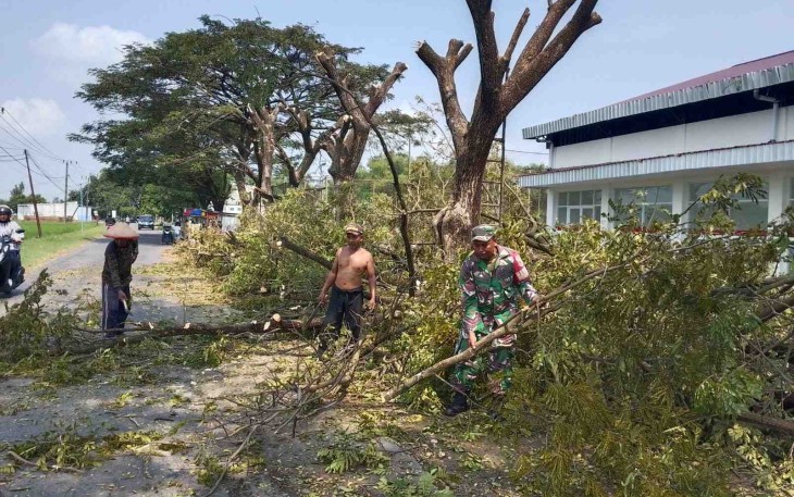 Pangkas pohon di wilayah desa binaan