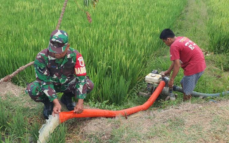 Bantu irigasi pertanian