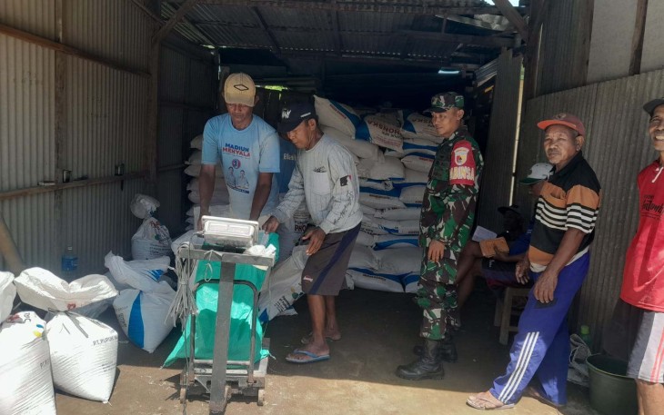 Distribusi pupuk wilayah desa binaan