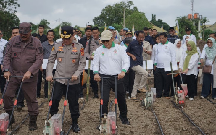 Dukung Ketahanan Pangan, Holding Perkebunan Nusantara Lewat PalmCo Perkuat Kemitraan Petani di Jambi