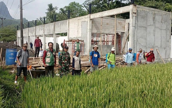 Bantu petani lawan hama wereng di wilayah desa binaan 