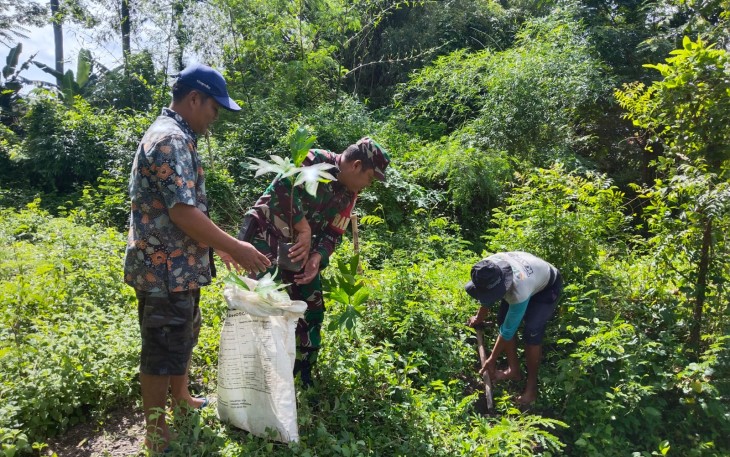 Babinsa Kebonsari Dampingi Warga Tanam Pohon Sukun
