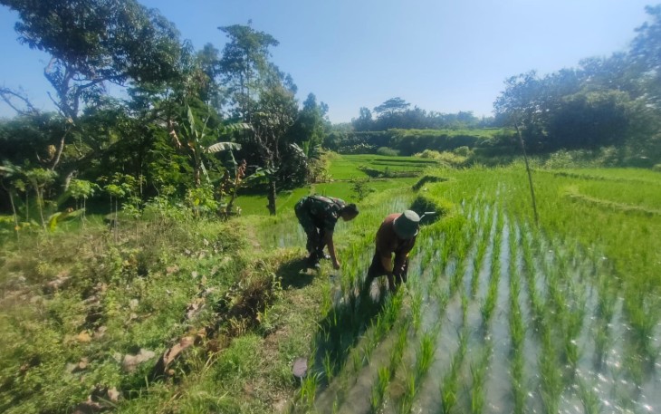 Upaya Anggota Ponorogo Sejahterakan Petani