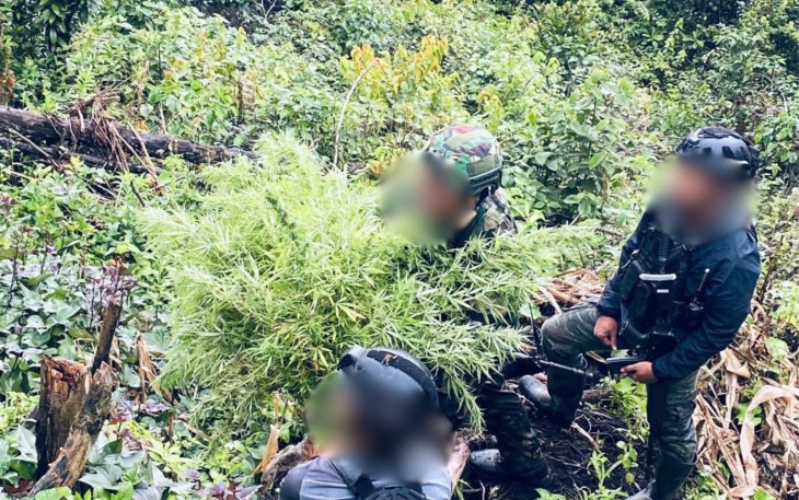Satgas Swasembada saat Berhasil Ungkap Ladang Ganja di Pegunungan Bintang