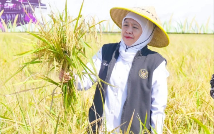 Gubernur Jawa Timur Khofifah Indar Parawansa turun langsung pimpin Gerakan Panen dan Percepatan Tanam di Desa Gading, Balerejo, Madiun
