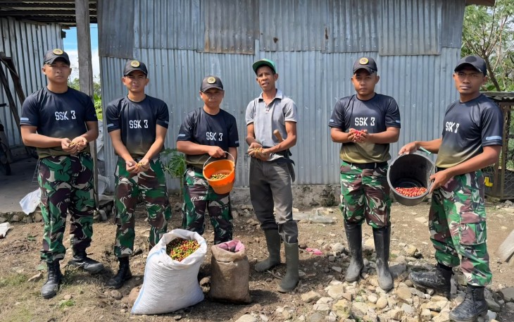 Yonarmed 12 Kostrad Dukung Ketahanan Pangan, Pos Nananoe Panen Kopi Bersama Warga Perbatasan