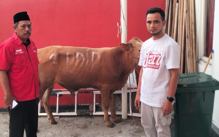 DPD PDI Perjuangan Jawa Timur menyalurkan 468 ekor sapi kurban ke berbagai daerah di Jawa Timur pada momentum Hari Raya Idul Adha 1447 Hijriah