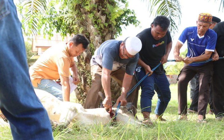Polres Aceh Singkil Sembelih 6 Ekor Sapi Kurban