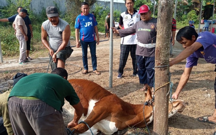 Prosesi penyembelihan sapi kurban di halaman belakang kantor DPC Partai Demokrat Karanganyar, Kamis (28/5/2026)