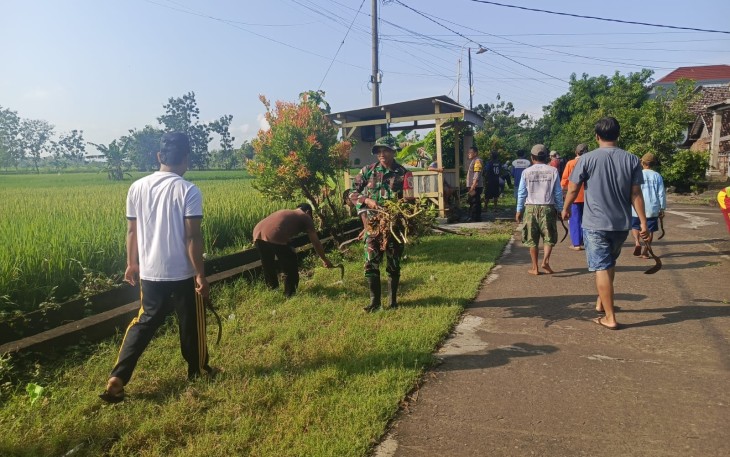 Semangat Gotong Royong Tak Pernah Padam, Babinsa dan Warga Plumpung Kidul Bersihkan Jalan Desa