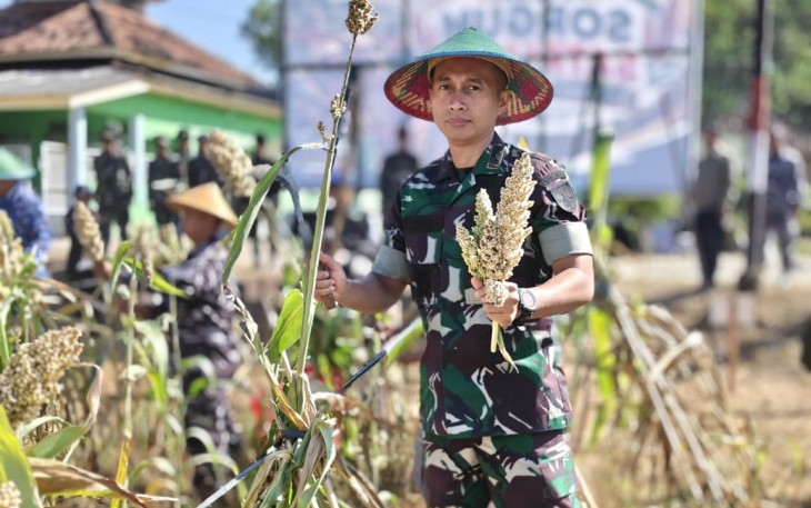 Dandim 0801/Pacitan Bersama Forkompinda Ikuti Panen Raya Sorgum
