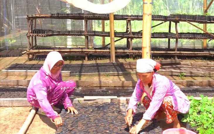 MIND ID Bina Lebih dari 10.000 UMKM
