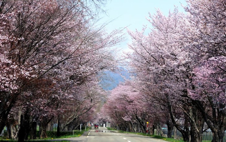 Rekomendasi Event Lari Maraton & Jalan Santai di Hokkaido