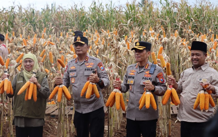 Kapolda Jawa Timur, Irjen Pol. Drs.  Nanang Avianto, M.SI, bersama  Gubernur Jawa Timur Khofifah Indar Parawansa melaksanakan panen raya Jagung di kawasan Pusat Pelatihan Pertanian Taruna Bumi, Green Farm Banyuwangi, Jawa Timur, Sabtu (28/2/2026)