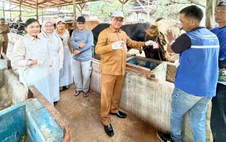 Ribuan Hewan Kurban Berlabel SL Dipastikan Sehat dan Aman