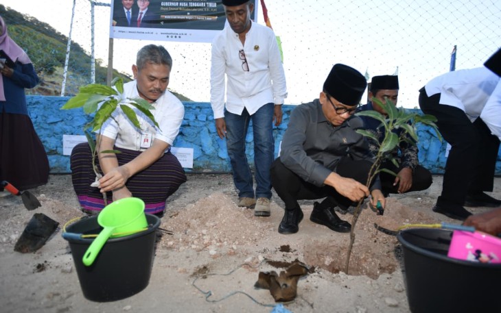 Mendes PDT Yandri saat menanam Pohon di Desa Lamakera, Kecamatan Solor Timur, Kabupaten Flores Timur, Nusa Tenggara Timur, Jumat (3/6/2026)