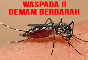 ilustrasi nyamuk DBD