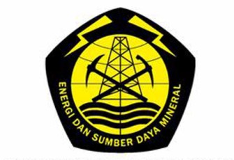 Logo ESDM