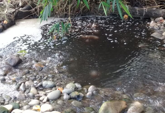 Kondisi air sungai diduga kuat tercemari limbah