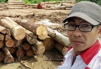 Tumpukan Kayu Log Pondok Pusaka