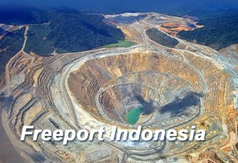 Freeport Indonesia. (Net)