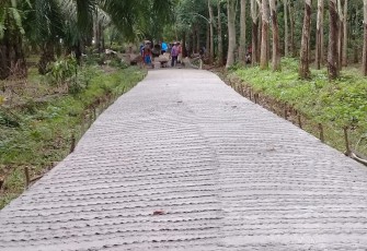 Pembangunan jalan sentra produksi Desa Pajar Bulan