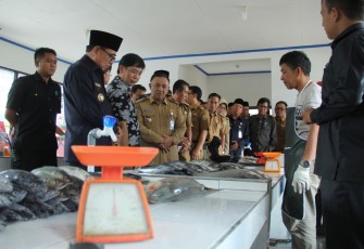 Peninjauan Lapak Penjualan Ikan konsep kekinian