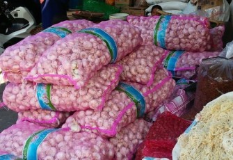 Foto : Bawang Putih 