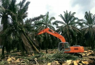 Foto : MC Bengkulu Selatan 