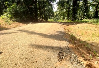 Kondisi Jalan di Beberapa Titik Mengalami Kerusakan 