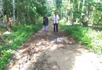 Kondisi Jalan 