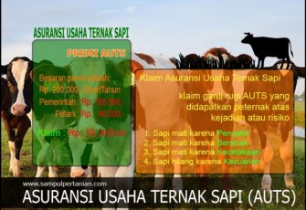 Foro : MC Bengkulu Selatan 