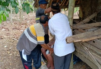 Warga Mengevakuasi Korban Dari Kandang Kambing 