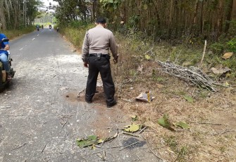 Polisi saat melakukan olah TKP peristiwa Pohon Tumbang yang menimpa Sarip (korban) hingga meninggal di Jalan Umum Brongkos Kesamben Kabupaten Blitar.