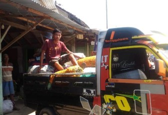 Pengepul Hasil Panen Petani Desa Jatimulya Alami Kenaikan Pesanan Pedagang adanya Program TMMD ke 105