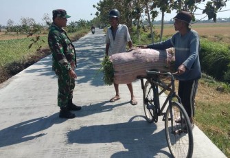 Angkut Hasil Pertanian Lancar